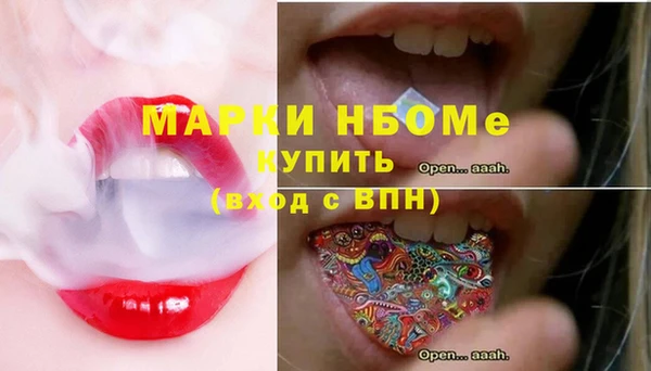 сатива Новокубанск