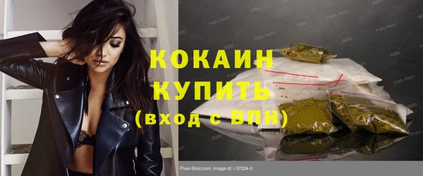 spice Новодвинск