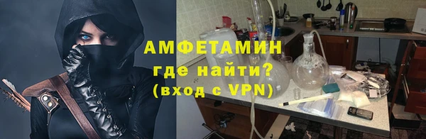 сатива Новокубанск