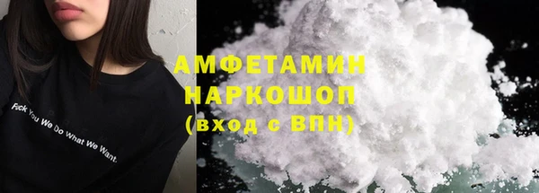 сатива Новокубанск