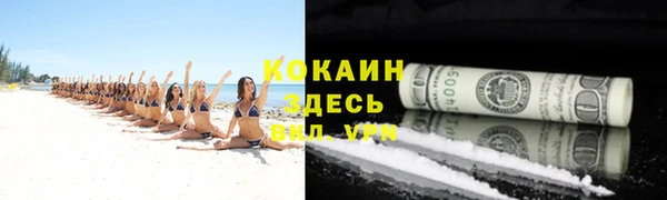 сатива Новокубанск