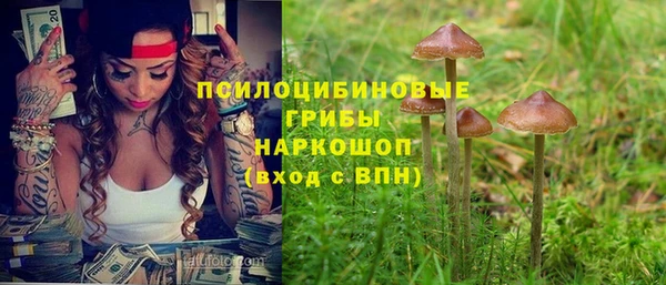 кокаин колумбия Новозыбков