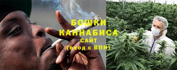 spice Новодвинск