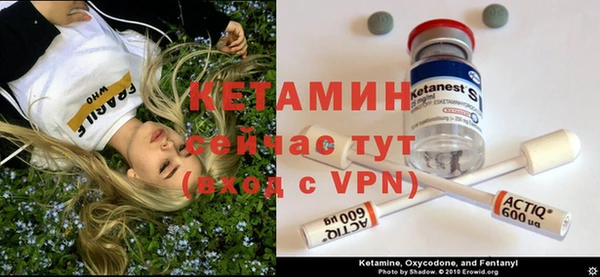 spice Новодвинск