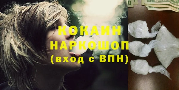 spice Новодвинск