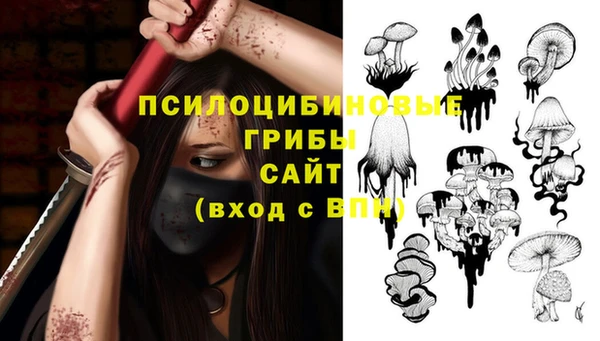 сатива Новокубанск