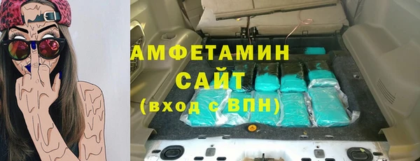 сатива Новокубанск