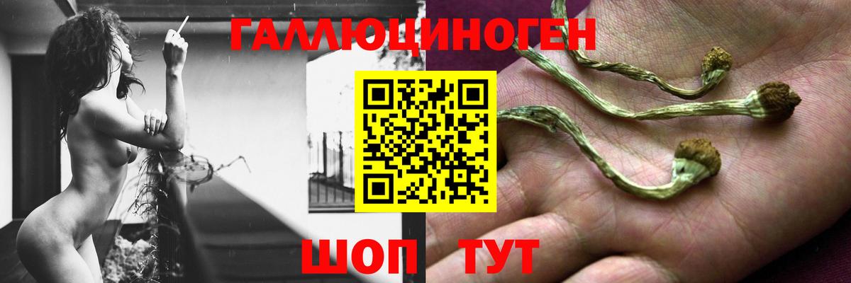 Псилоцибиновые грибы ЛСД  Вход с VPN  Калининград 